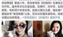 天涯爆料张娇娇视频大全,张娇娇视频大全引发热议