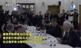 记者爆料俄乌谈判视频大全,记者揭秘关键视频大全