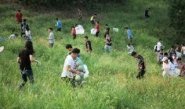 吃瓜小组免费吃瓜,吃瓜小组带你畅享夏日清凉