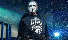 外媒爆料斯汀的视频,揭秘其不为人知的私生活片段