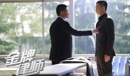 金牌律师在线观看,在线观看，法律风云再起