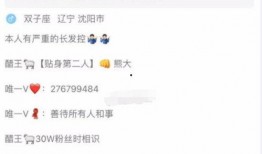 仙洋入狱新闻爆料视频,揭秘背后真相与网络舆论影响