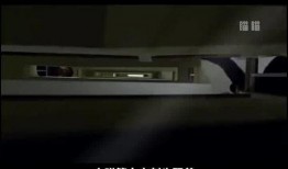 蜂蛰电影在线观看