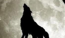 狼 2009 在线观看,在线重温狼性世界的惊心动魄