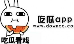 网红吃瓜大全网站下载