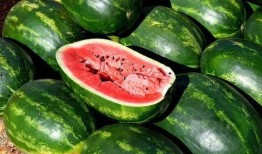 网红吃瓜大全网站下载