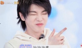 张碧晨爆料分手原因视频,揭秘分手背后的真相