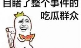 热门话题网红与吃瓜群众,吃瓜群众热议焦点