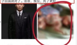 枕边陷阱手机在线观看,揭秘手机背后的惊悚真相