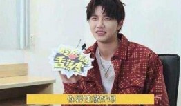 明星爆料陆思恒视频播放,揭秘明星幕后生活点滴