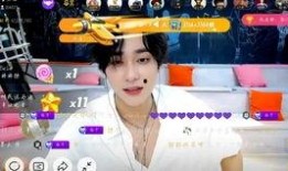 明星爆料陆思恒视频播放,揭秘明星幕后生活点滴