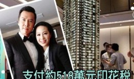 甄子丹爆料吴毅视频播放,揭秘娱乐圈幕后真相
