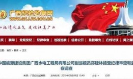 广西水电最新爆料消息,揭秘水电项目新进展与挑战