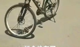 安阳自行车爆料事件视频,真相与争议的交织