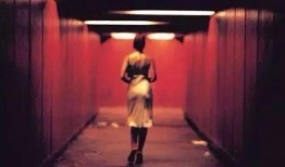 十禁止电影在线观看,揭秘禁片背后的禁忌世界