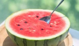 西瓜地免费吃瓜,西瓜地免费吃瓜，畅享清凉一夏！