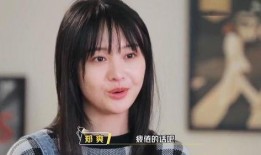 娱乐圈真实爆料郑爽,娱乐圈真相与争议的交织