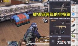 和平精英最新宝箱爆料,神秘奖励等你来拿！