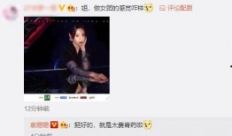 有关浪姐的爆料视频大全,揭秘娱乐圈幕后真相