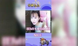 传情小小视频评论爆料,揭秘背后惊人真相