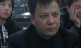 香港娱乐圈哥哥爆料事件,真相与争议交织