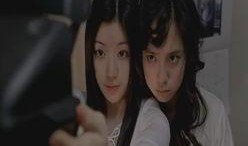 狐狸阶梯在线观看,探寻神秘世界的奇幻之旅