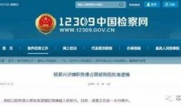 杨某爆料深圳新闻最新消息,揭秘事件背后真相