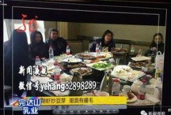 食物今日爆料新闻,揭秘食物安全新动态，关注食品安全热点事件