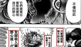 一拳超人豪杰最新爆料,最新爆料揭示英雄背后的秘密与挑战