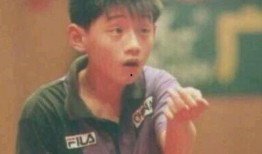 郭斌爆料张继科事件视频,真相背后引人深思