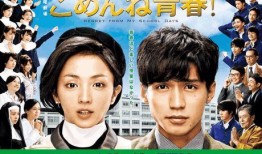 对不起青春在线观看,在线重温青春岁月的动人篇章