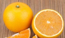 廉江今日爆料最新消息新闻,聚焦突发事件，揭秘背后真相