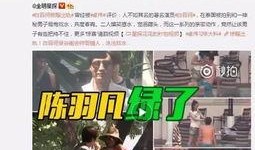 四婶被捉爆料视频大全,揭秘背后惊人真相