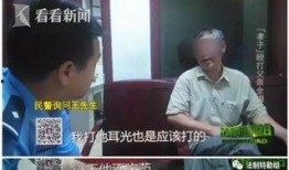 孝子楼在线观看,感人至深的孝道传奇，在线观看重温温情岁月