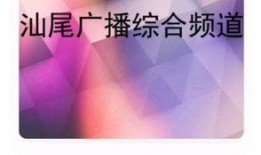 深圳广播电视台新闻爆料,重大新闻事件引发社会关注