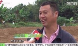 今日关注阳春爆料,今日热点事件深度解析