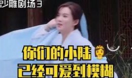 林凡爆料糗事是哪一集视频,揭秘明星背后的尴尬瞬间