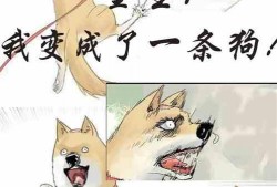 免费小说阅读吃瓜系统,小说世界大揭秘