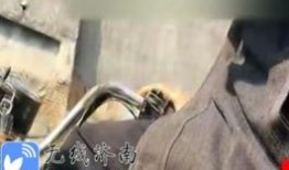 济南大鹰爆料事件视频最新,真相揭秘，网络舆论漩涡中的是非曲直