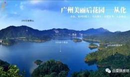 从化爆料消息最新,揭秘神秘事件背后的真相！