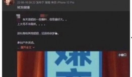 有关浪姐的爆料视频大全,揭秘娱乐圈幕后真相