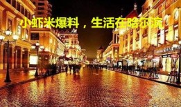 哈尔滨爆料小视频,揭秘城市生活点滴