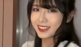 最新爆料王大炮视频大全,热点事件背后的真相与观点