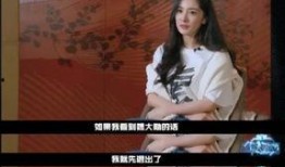 杨幂爆料游戏视频,揭秘明星幕后娱乐生活