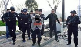 封丘县高考爆料案件最新,揭秘背后真相与反思教育公平