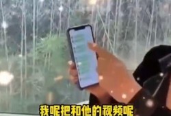 张兰最新爆料录音视频,揭秘企业内幕与个人争议