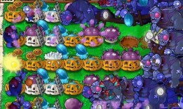 四界爆料大王是谁啊视频,视频背后的神秘人物