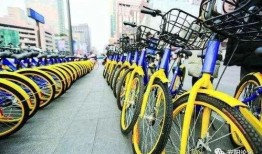 安阳自行车爆料事件视频,真相与争议的交织