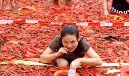 宁乡网红吃瓜事件视频,一场网络狂欢背后的真相揭秘