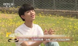 王俊凯爆料文琪微博视频,王俊凯揭秘文琪微博视频幕后故事